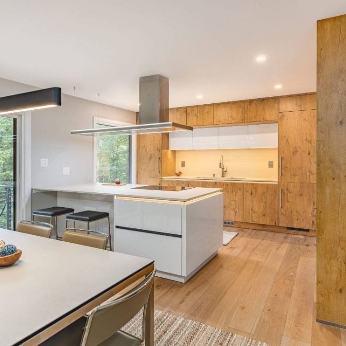 Usa-Cabinet-Teresa-Bosch-Home-Photos-3-of-70-scaled-1.jpg